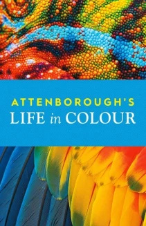 Watch Attenborough's Life in Colour online
