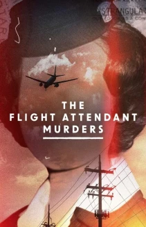 Watch The Flight Attendant Murders online