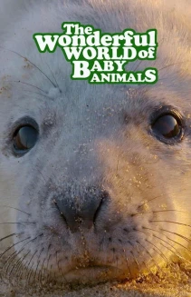 Watch The Wonderful World of Baby Animals online