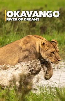 Watch Okavango: River of Dreams online