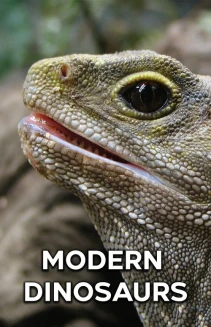 Watch Modern Dinosaurs online