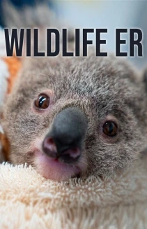 Watch Wildlife ER online