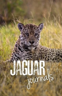 Watch Jaguar Journals online
