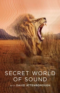 Watch Secret World of Sound online