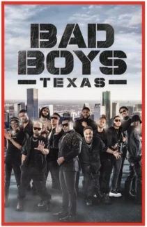 Watch Bad Boys Texas online