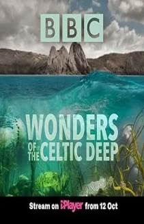 Watch Wonders of the Celtic Deep online