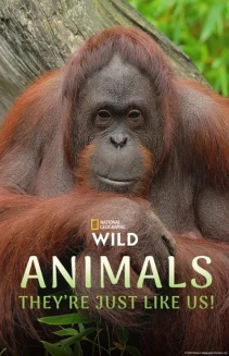 Watch Animals, They're Just Like Us! online