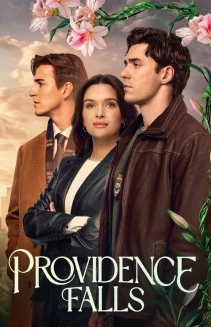Watch Providence Falls online