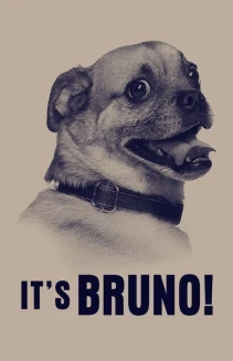 Watch It's Bruno! online