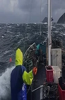 Aussie Lobster Men