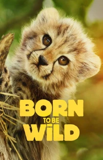 Watch Born to Be Wild online
