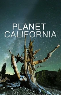 Watch Planet California online
