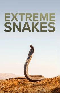 Watch Extreme Snakes online