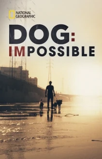 Watch Dog: Impossible online