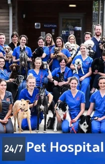 Watch 24/7 Pet Hospital online