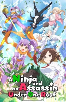 Watch A Ninja and an Assassin Under One Roof online