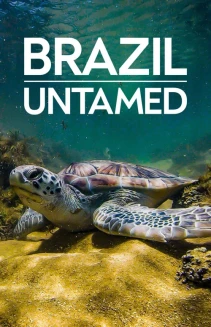 Watch Brazil Untamed online