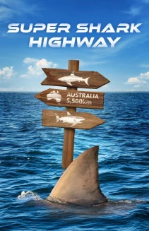 Watch Super Shark Highway online
