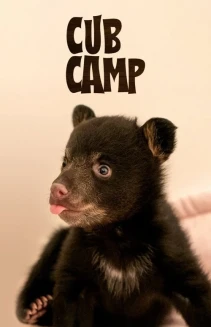 Watch Cub Camp online