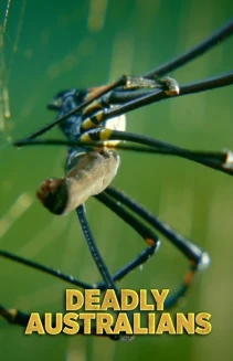 Watch Deadly Australians online