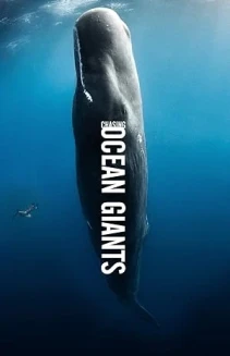 Watch Chasing Ocean Giants online