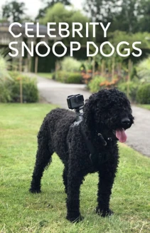 Watch Celebrity Snoop Dogs online