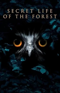 Watch Inside the Forest: Seasons of Wonder online