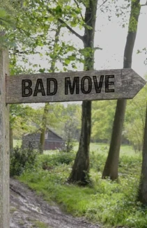 Watch Bad Move online