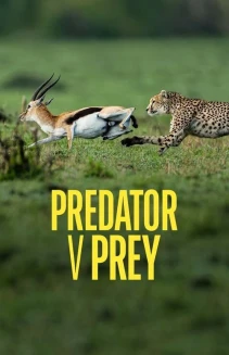 Watch Predator v Prey online