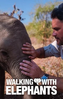 Watch Walking With Elephants online