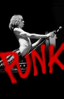 Watch Punk online