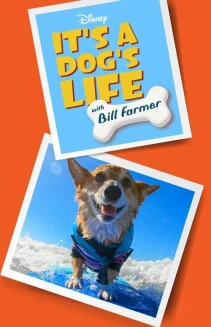 Watch It's a Dog's Life with Bill Farmer online