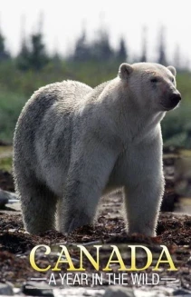 Watch Canada: A Year in the Wild online