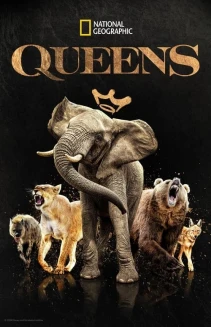 Watch Queens online