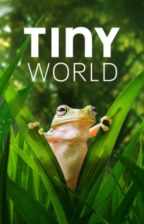 Watch Tiny World online